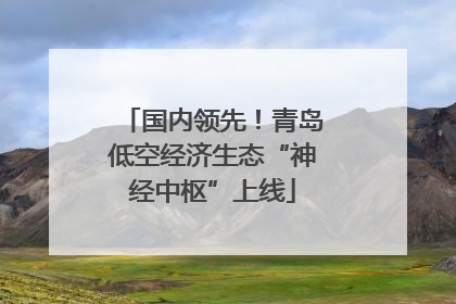 国内领先！青岛低空经济生态“神经中枢”上线