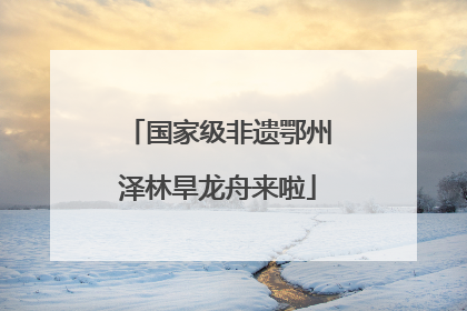 国家级非遗鄂州泽林旱龙舟来啦