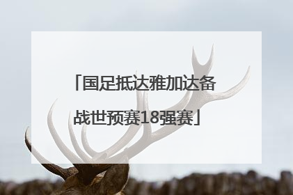国足抵达雅加达备战世预赛18强赛