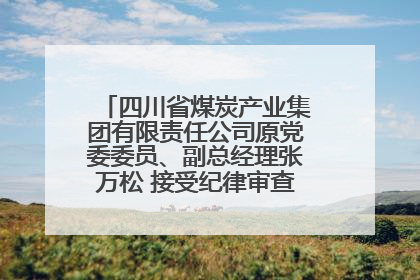 四川省煤炭产业集团有限责任公司原党委委员、副总经理张万松 接受纪律审查和监察调查