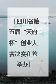 四川省第五届“天府杯”创业大赛决赛在蓉举办