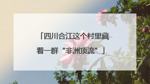 四川合江这个村里藏着一群“非洲顶流”