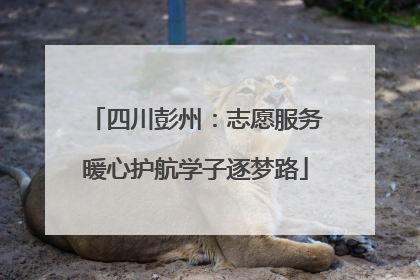 四川彭州：志愿服务暖心护航学子逐梦路