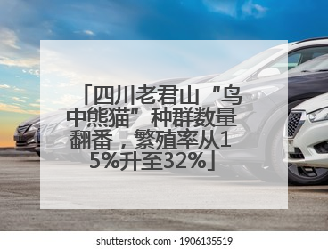 四川老君山“鸟中熊猫”种群数量翻番，繁殖率从15%升至32%