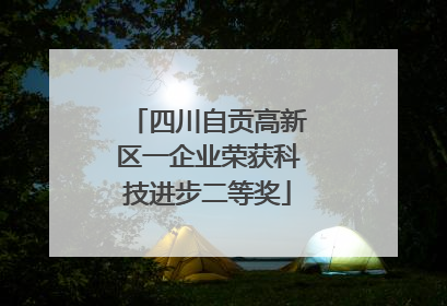 四川自贡高新区一企业荣获科技进步二等奖