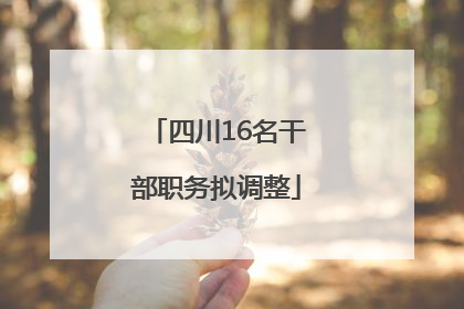 四川16名干部职务拟调整