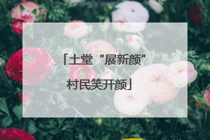 土堂“展新颜” 村民笑开颜