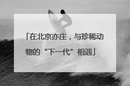 在北京亦庄，与珍稀动物的“下一代”相遇