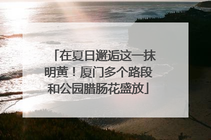 在夏日邂逅这一抹明黄！厦门多个路段和公园腊肠花盛放