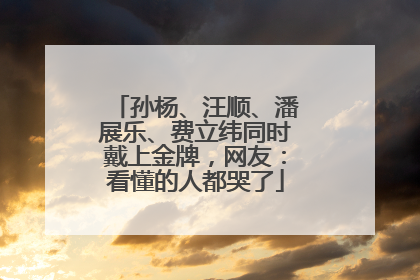 孙杨、汪顺、潘展乐、费立纬同时戴上金牌，网友：看懂的人都哭了
