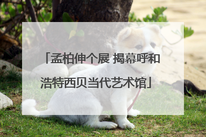 孟柏伸个展 揭幕呼和浩特西贝当代艺术馆