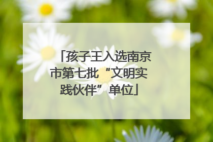 孩子王入选南京市第七批“文明实践伙伴”单位