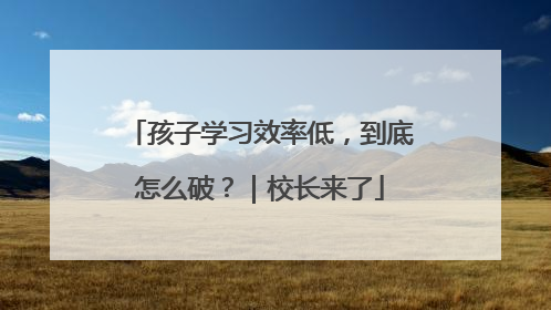 孩子学习效率低，到底怎么破？｜校长来了