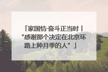 家国情·奋斗正当时丨“感谢那个决定在北京环路上种月季的人”