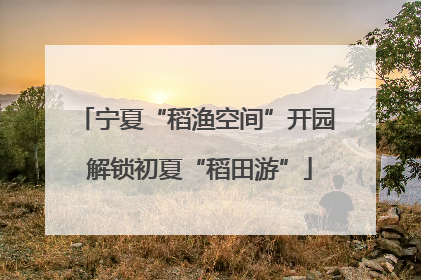 宁夏“稻渔空间”开园 解锁初夏“稻田游”
