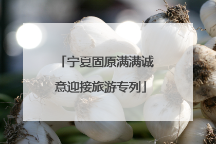 宁夏固原满满诚意迎接旅游专列