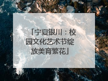 宁夏银川：校园文化艺术节绽放美育繁花