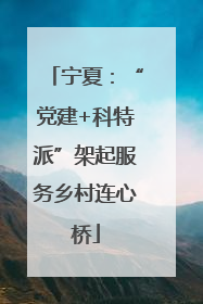 宁夏：“党建+科特派”架起服务乡村连心桥