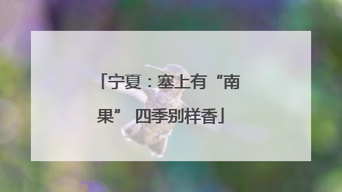 宁夏：塞上有“南果” 四季别样香