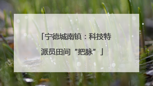 宁德城南镇：科技特派员田间“把脉”