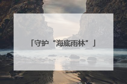 守护“海底雨林”