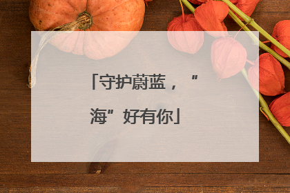 守护蔚蓝，“海”好有你