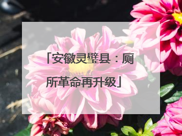 安徽灵璧县：厕所革命再升级