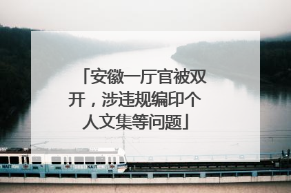 安徽一厅官被双开，涉违规编印个人文集等问题