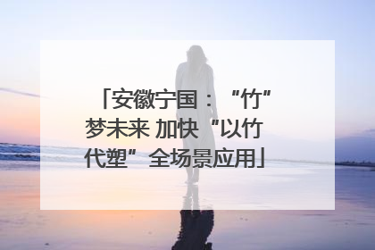 安徽宁国：“竹”梦未来 加快“以竹代塑”全场景应用