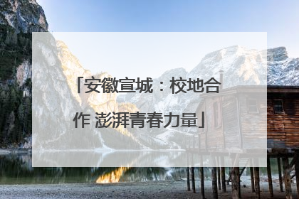 安徽宣城：校地合作 澎湃青春力量