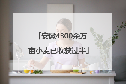 安徽4300余万亩小麦已收获过半