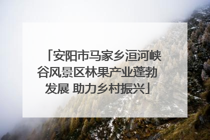 安阳市马家乡洹河峡谷风景区林果产业蓬勃发展 助力乡村振兴