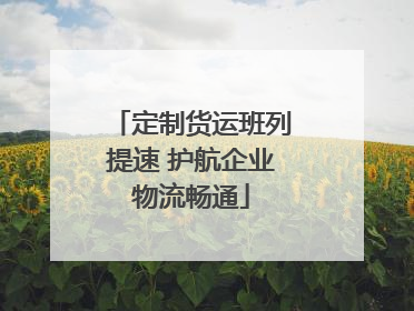 定制货运班列提速 护航企业物流畅通