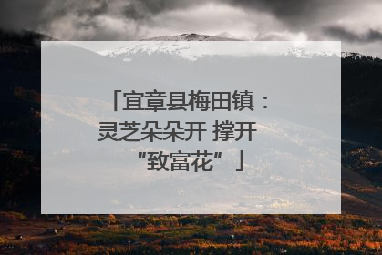 宜章县梅田镇：灵芝朵朵开 撑开“致富花”