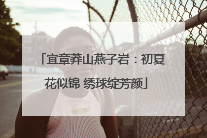 宜章莽山燕子岩：初夏花似锦 绣球绽芳颜