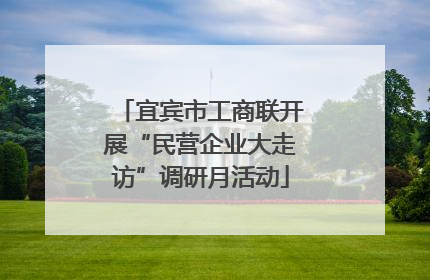 宜宾市工商联开展“民营企业大走访”调研月活动