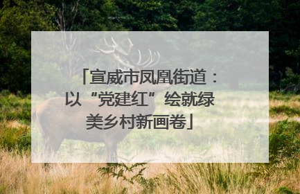 宣威市凤凰街道：以“党建红”绘就绿美乡村新画卷