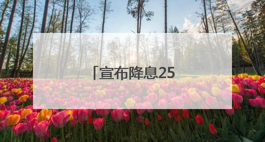 宣布降息25个基点后 欧洲央行行长发声