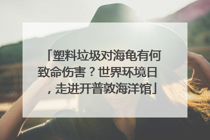 塑料垃圾对海龟有何致命伤害？世界环境日，走进开普敦海洋馆