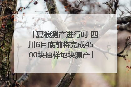 夏粮测产进行时 四川6月底前将完成4500块抽样地块测产