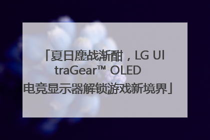 夏日鏖战渐酣，LG UltraGear™ OLED电竞显示器解锁游戏新境界