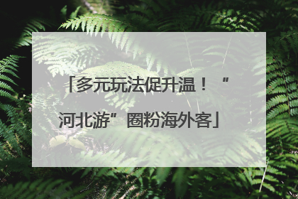 多元玩法促升温！“河北游”圈粉海外客