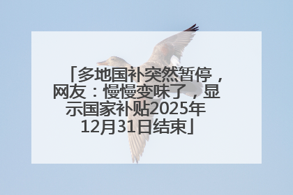 多地国补突然暂停，网友：慢慢变味了，显示国家补贴2025年12月31日结束