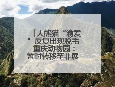 大熊猫“渝爱”反复出现脱毛 重庆动物园：暂时转移至非展示区静养治疗