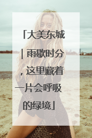 大美东城｜雨歇时分，这里藏着一片会呼吸的绿境
