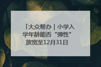 大众帮办｜小学入学年龄能否“弹性”放宽至12月31日？有地方已在探索