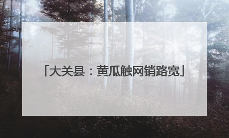 大关县：黄瓜触网销路宽