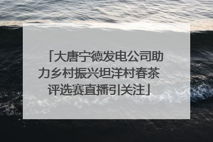大唐宁德发电公司助力乡村振兴坦洋村春茶评选赛直播引关注
