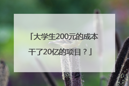 大学生200元的成本干了20亿的项目？