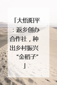 大悟阳平：返乡创办合作社，种出乡村振兴“金稻子”